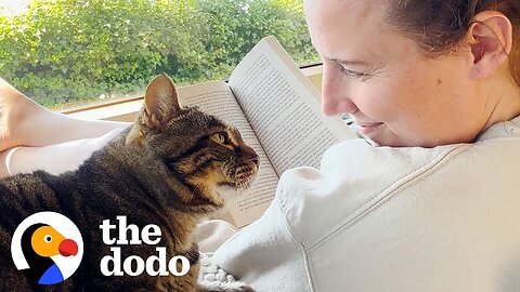 Senior Rescue Cat Demands The Full Baby Treatment | The Dodo