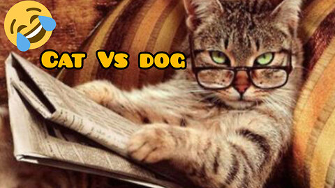 Funny animals...