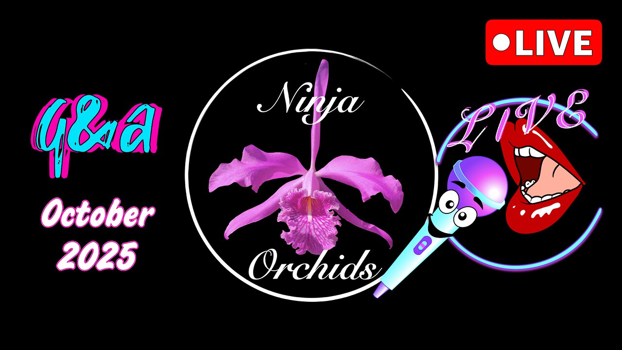 Witness the AWKWARD Glitchy Moments of THIS Monthly Q&A October '25 Comments Review #ninjaorchids