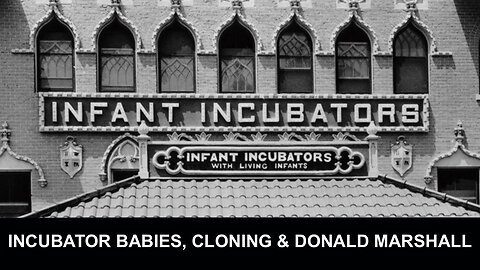 Intervista con Campbell Purvis | Clonazione umana, Cabbage Patch Babies e orfani