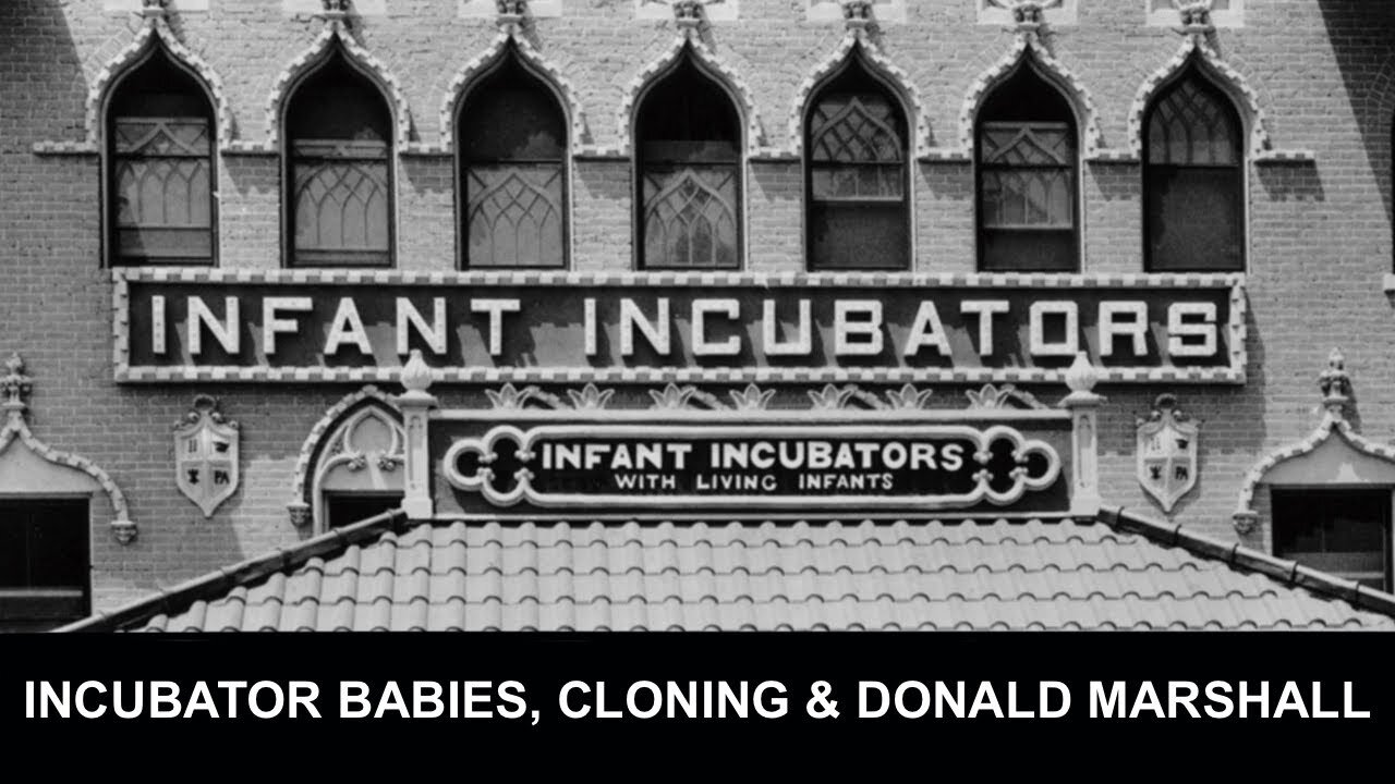 Intervista con Campbell Purvis | Clonazione umana, Cabbage Patch Babies e orfani