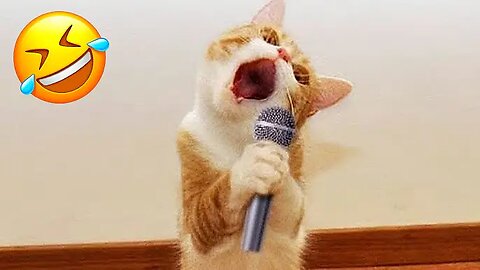 "Hilarious Cats & Dogs Compilation 2025! 😂🐶😻 Try Not to Laugh!"
