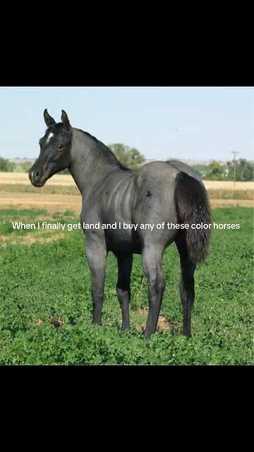 Awe wittle mothership 🤗