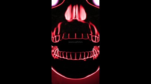 The Typhoon Wang-Tung session