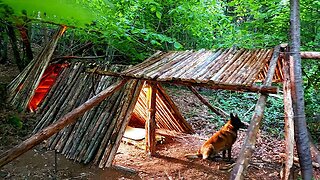 Solo Off-Grid Shelter Build & Campfire Cooking | Peaceful Forest Vibes
