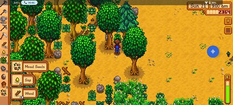 Stardew Valley