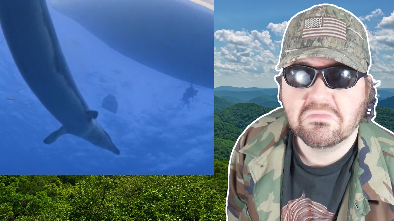 Sea Monsters - A Walking With Dinosaurs Trilogy 2003 - Into The Jaws Of Death (PD) - Reaction! (BBT)