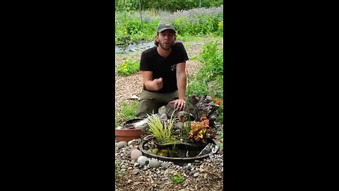 THREE PERMACULTURE GROWING METHODS.