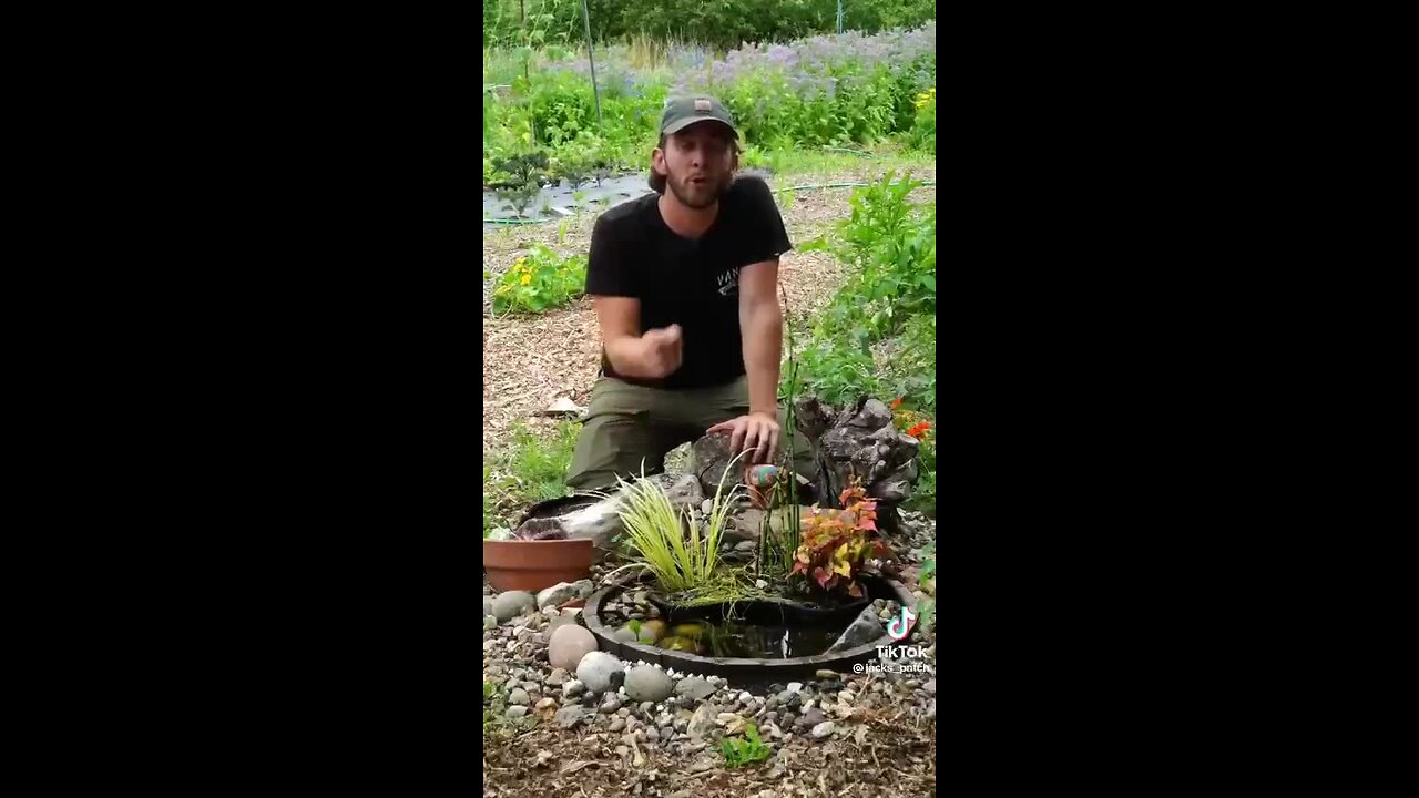 THREE PERMACULTURE GROWING METHODS.