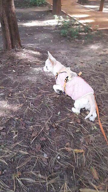 20251110. God Is Love.