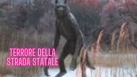 Dogman si fa presente sulla Alaska Trunk Road (ITALIANO)