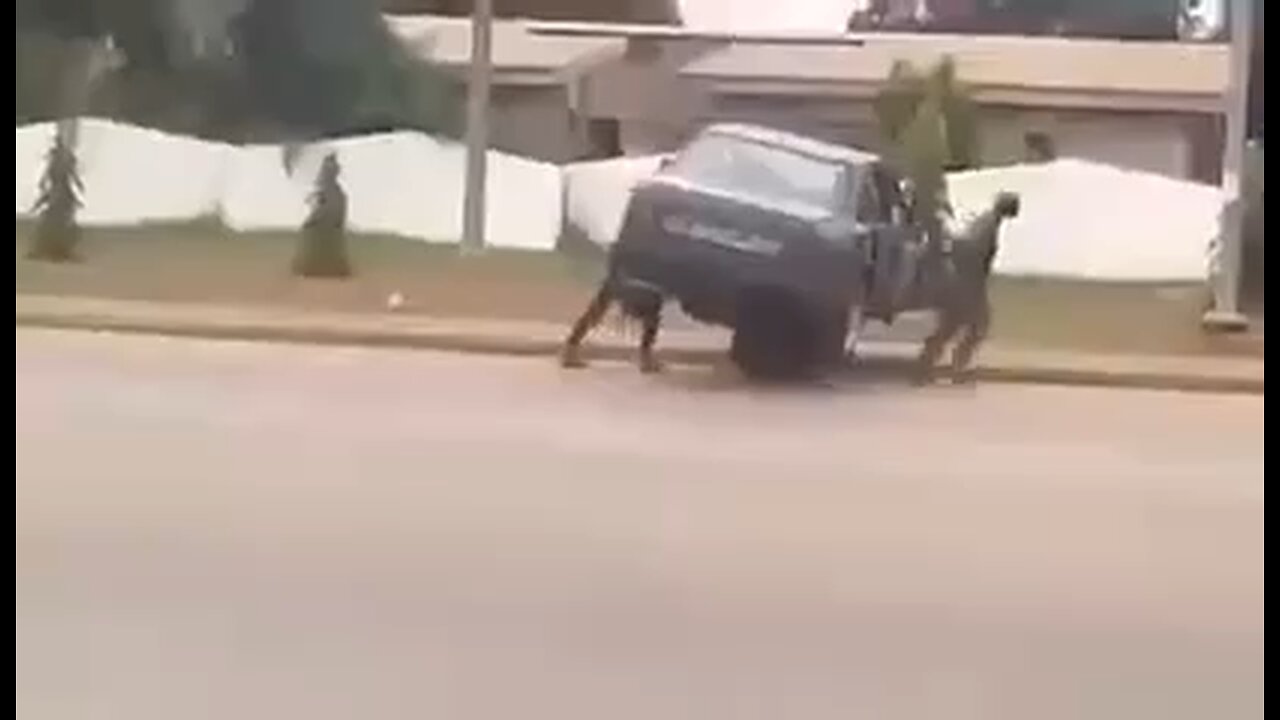 😄 A friend won't leave you in trouble
