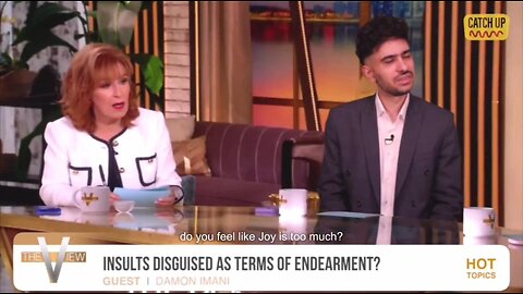 🤣 Hilarious pretend VIEW guest - 'Insults disguised as terms of endearment?'