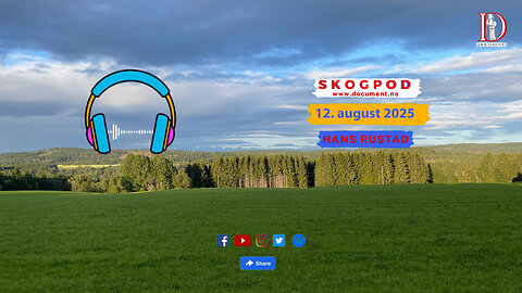 Skogpod 12. august 2025