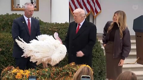 Gobble Officially Pardoned & Has A Few Gobbles To Give😂🦃