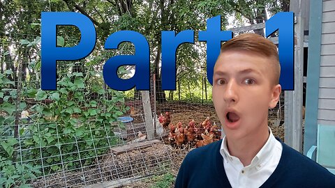 New Morning Chicken Routine Part 1 - Homesteading Journey