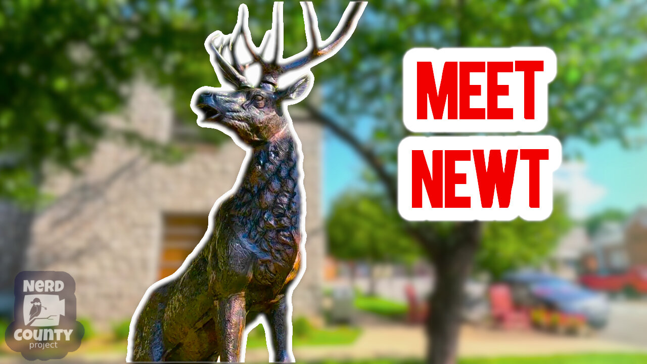 Meet Newt the Elk in Jasper Arkansas | elk statue, Ozark vlog, Southern life