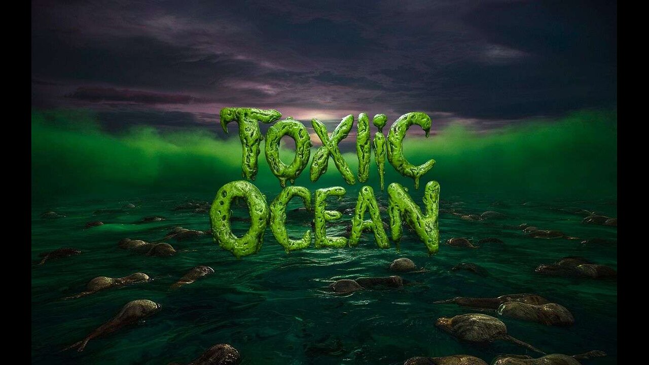hi welcome to my little toxic life