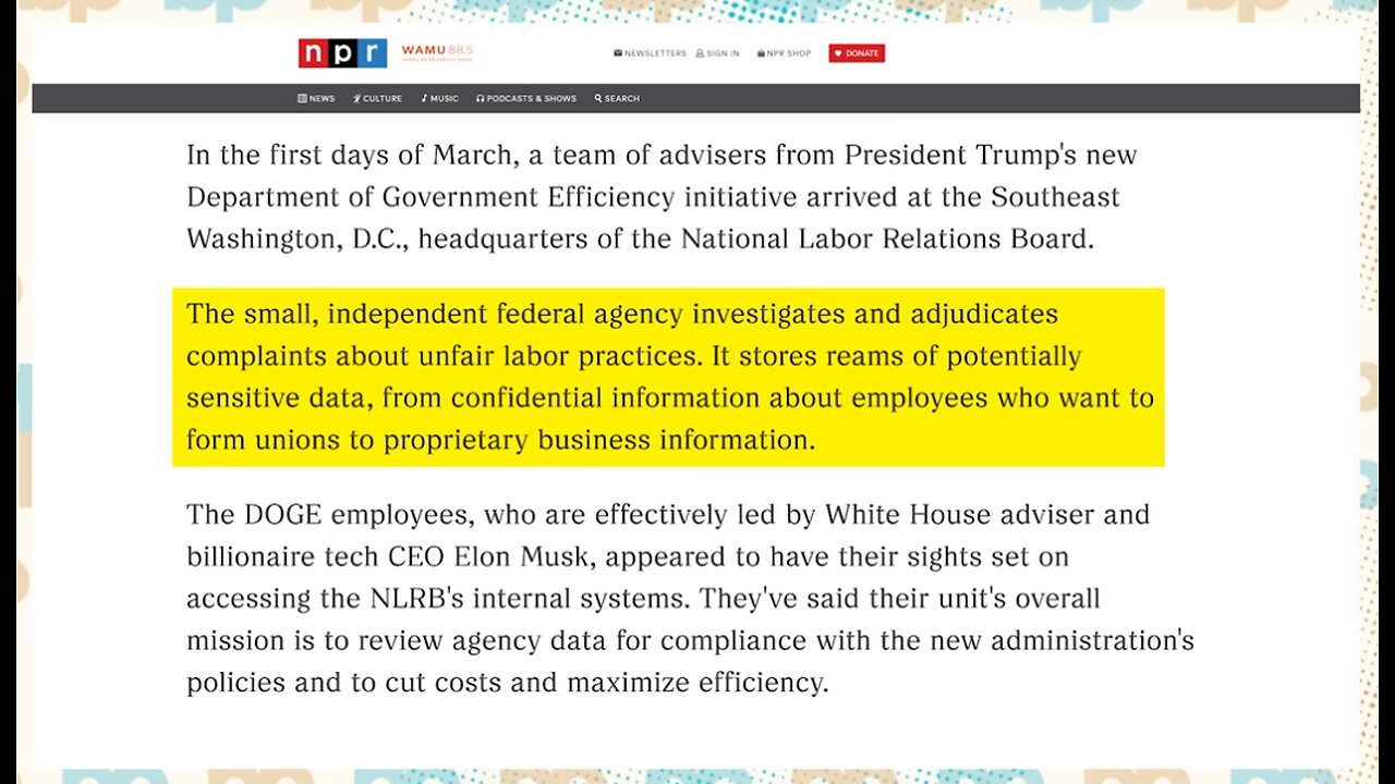 Elon Musk Whistleblower Daniel Berulis GETS SCARY THREAT AT HOME Before Going Public about DOGE