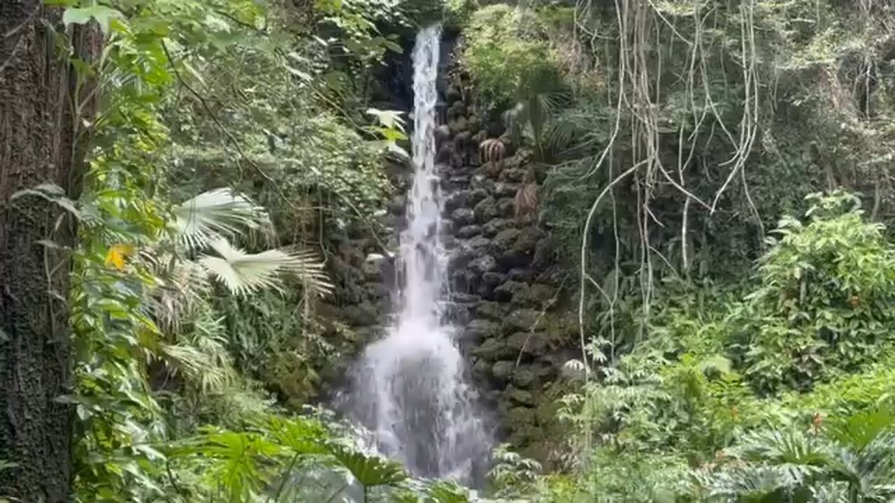 Relaxing waterfall