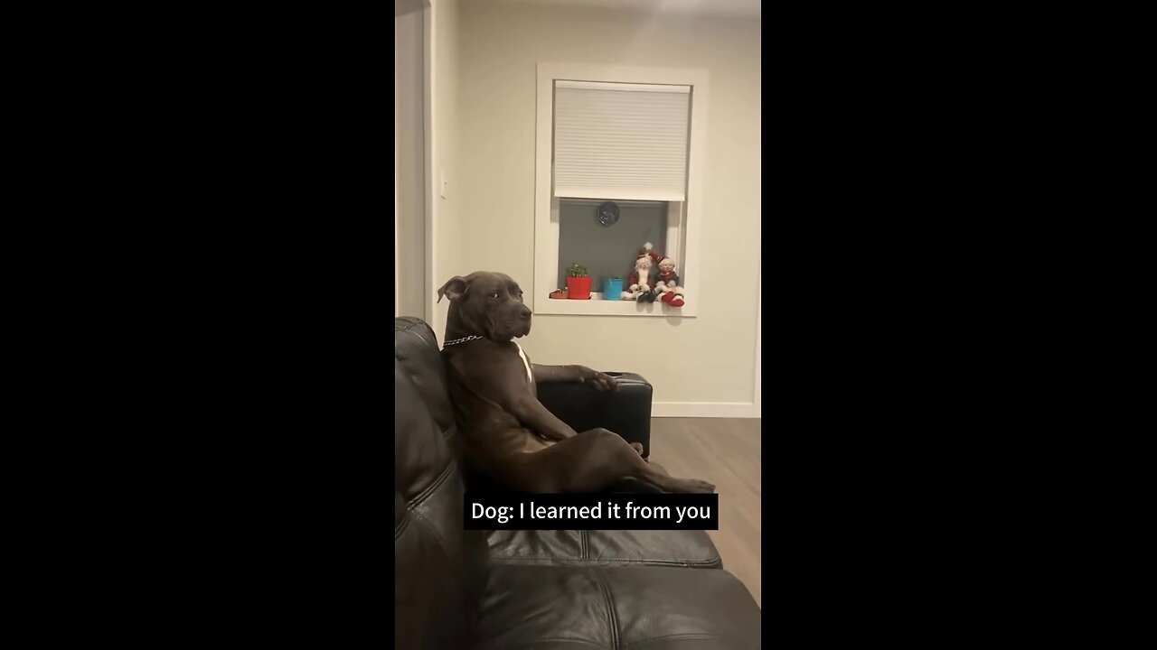 Try to control your laugh 🤣🤣🤣😂