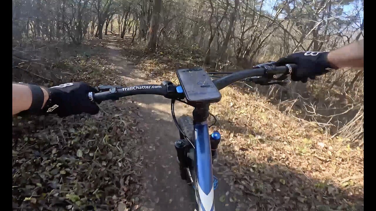 Orange | Paul Douglas | Hoffman Estates | Illinois