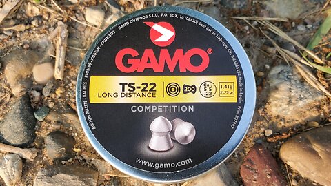 First Impressions: GAMO TS-22 Pellet Review!