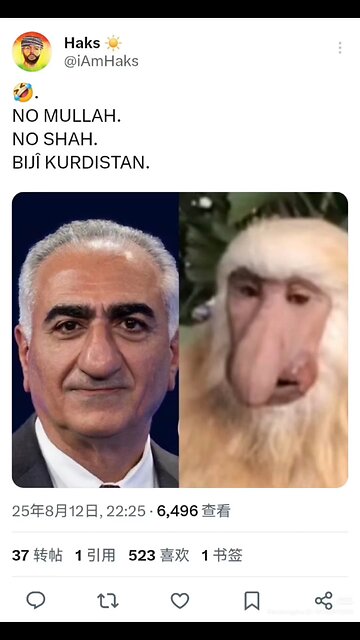 You can always find something interesting on the Internet