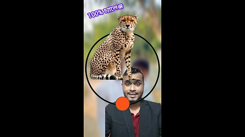 চিতা বাঘের মাথাটি জোড়া লাগান #viral #shorts