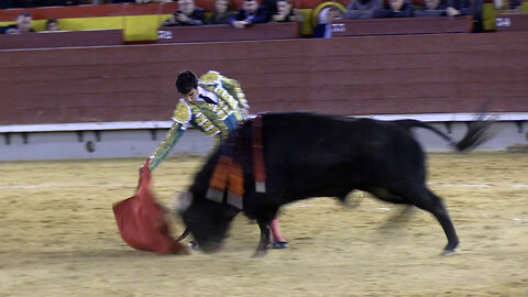 2025 03 27 CASTELLÓN NOVILLADA PICADA MONTALVO