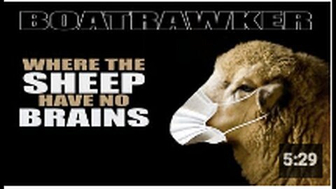 "Where the Sheep Lack Intelligence" by Screw U