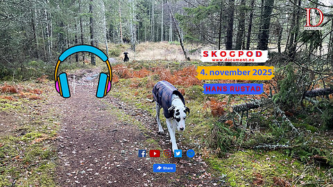 Skogpod 4. november 2025