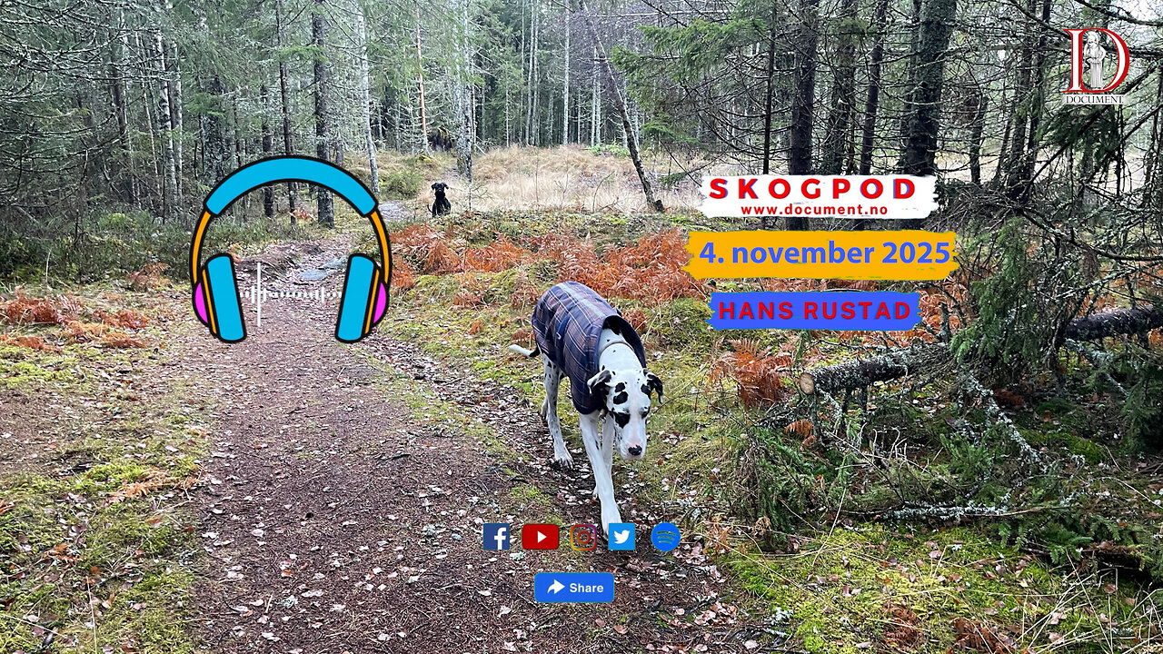 Skogpod 4. november 2025