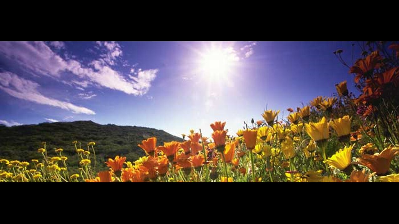 What Does the Bible say About Spring? Podcast