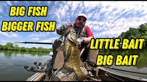Big Fish, Bigger Fish - Little Bait, Big Bait