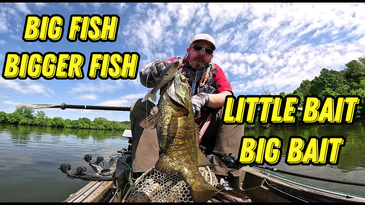 Big Fish, Bigger Fish - Little Bait, Big Bait