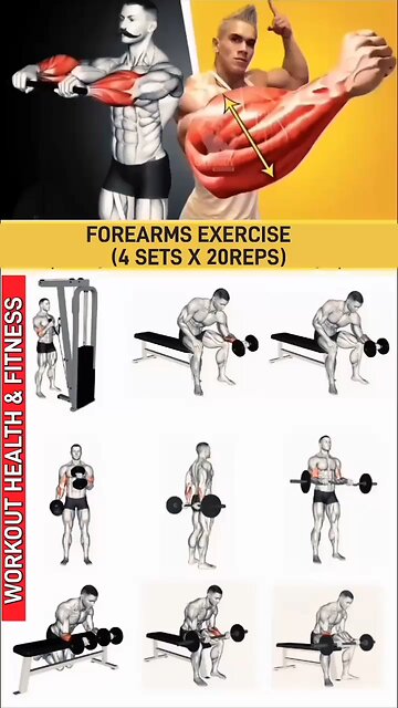 Build Muscle, Eat Clean, Track Progress