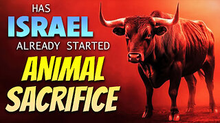 Has Israel Already Started Animal Sacrifice 08/18/2025