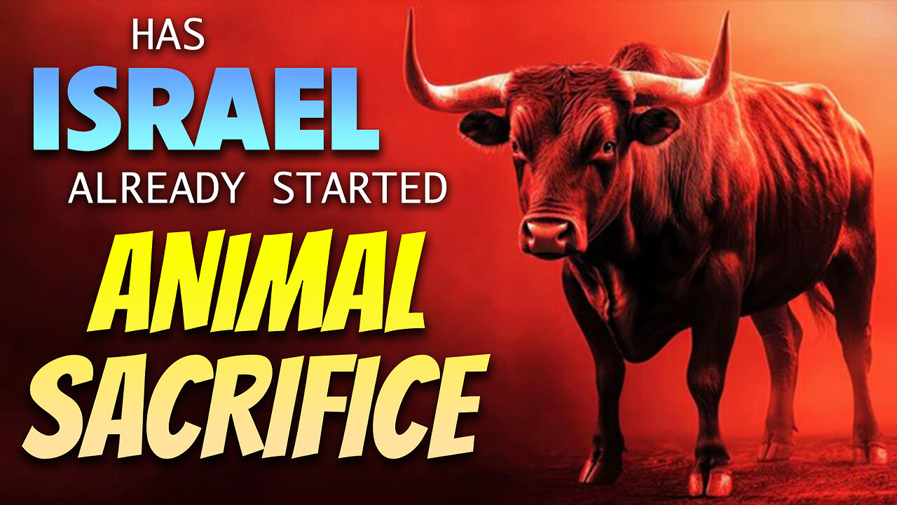 Has Israel Already Started Animal Sacrifice 08/18/2025