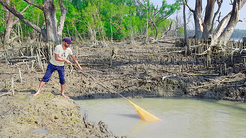 Net Fishing in Riverside Hole by fisherman