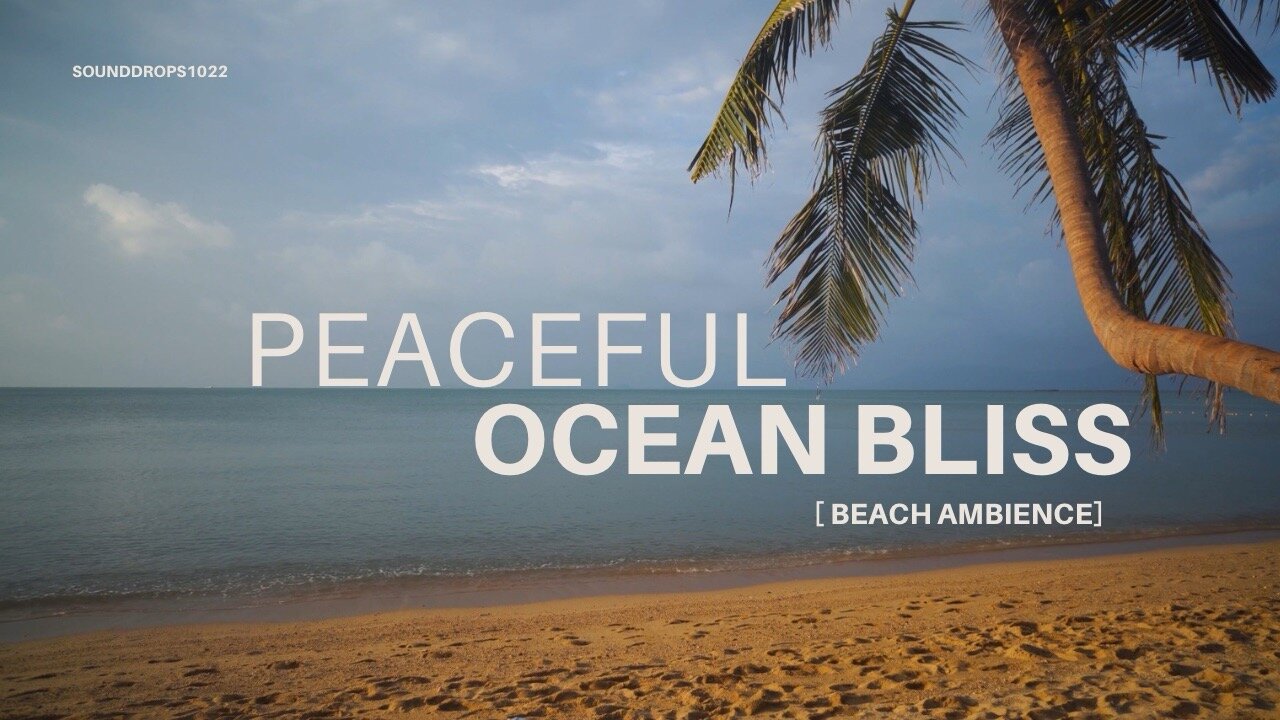 4 Hours of Ocean Bliss – Peaceful Beach Ambience for Work or Sleep