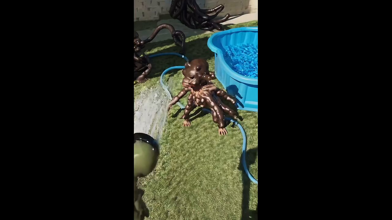 keep your pet clean