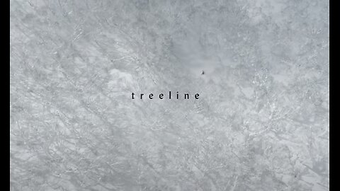 Treeline ／ トゥリー・ライン