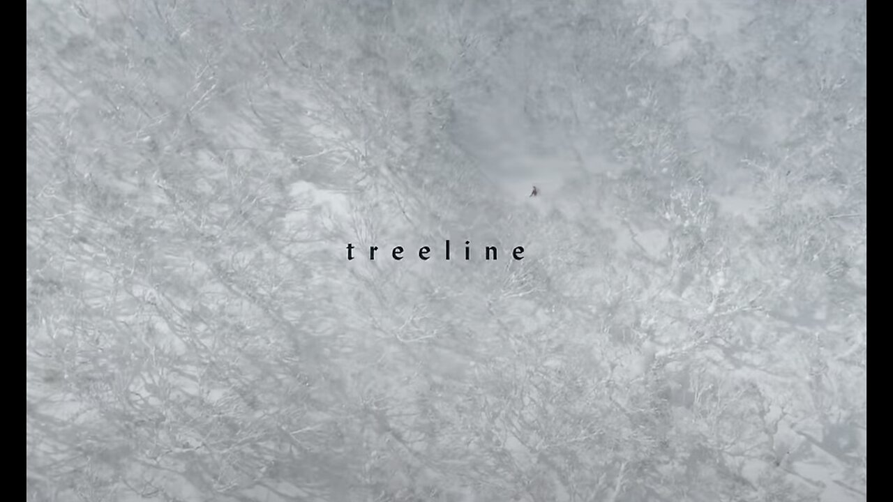 Treeline ／ トゥリー・ライン