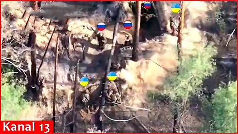 Drone footage shows desperate Russian soldiers hiding in trenches surrender to Ukrainian fighters