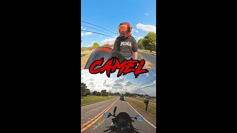 CAMELS!!!