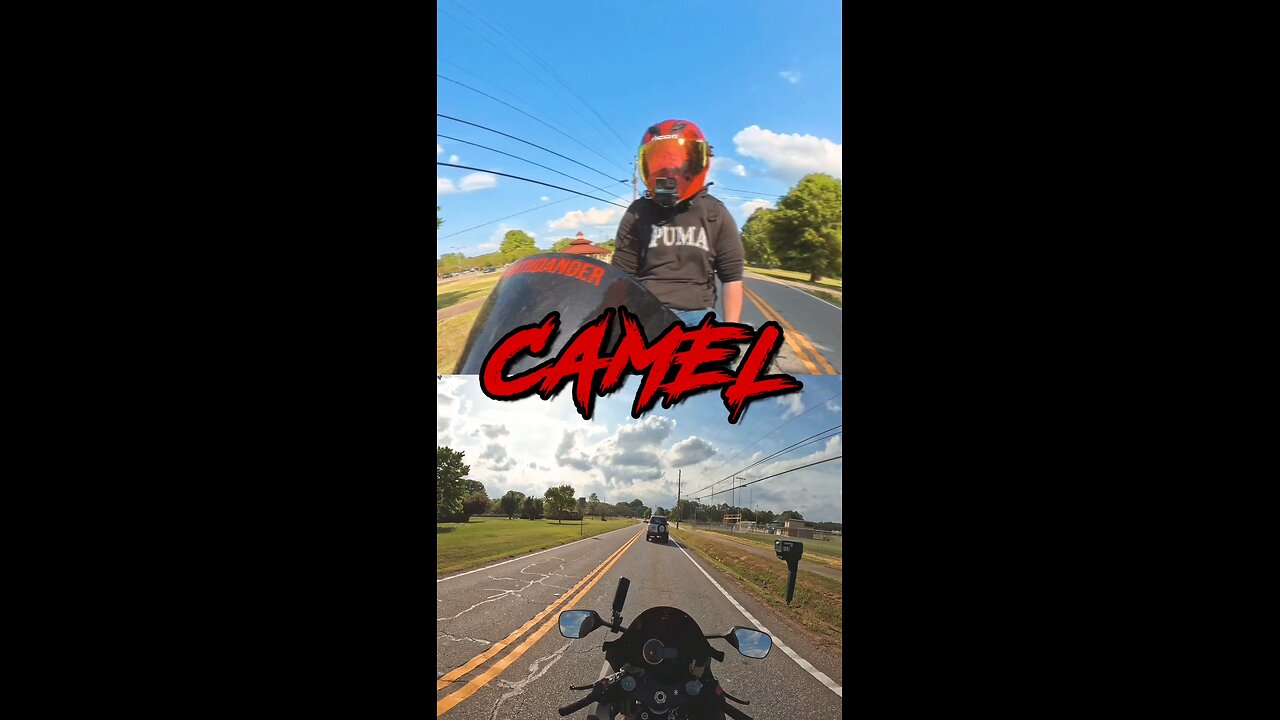 CAMELS!!!