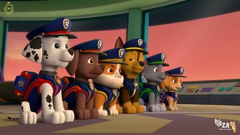 PAW Patrol Cartoons