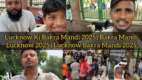 Lucknow Ki Bakra Mandi 2025 | Bakra Mandi Lucknow 2025 | Lucknow Bakra Mandi 2025 |