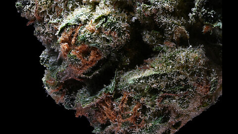 Nightcap dab 9-20 Peak Pro